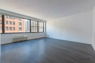 850 N Dewitt Pl, Chicago, IL 60611 - Photo 8
