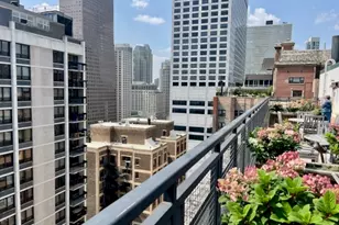 850 N Dewitt Pl, Chicago, IL 60611 - Photo 32
