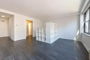 850 N Dewitt Pl, Chicago, IL 60611 - Photo 10
