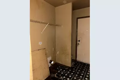 218 N Hamlin Boulevard, Chicago, IL 60624 - Photo 18
