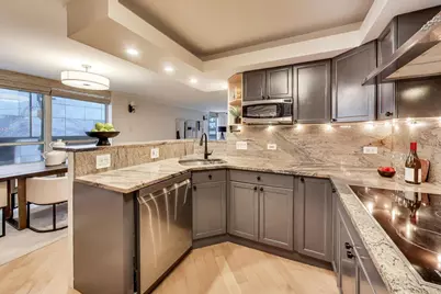 201 E Chestnut Street #3A, Chicago, IL 60611 - Photo 26