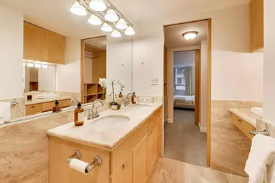 201 E Chestnut Street #3A, Chicago, IL 60611 - Photo 30