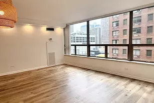 110 E Delaware Pl, Chicago, IL 60611 - Photo 10