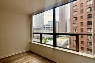 110 E Delaware Pl, Chicago, IL 60611 - Photo 20