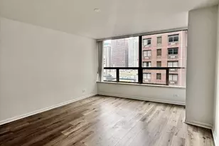 110 E Delaware Pl, Chicago, IL 60611 - Photo 18