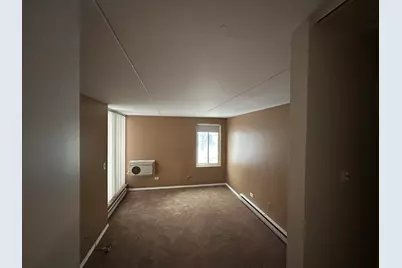 366 W Miner Street #2A, Arlington Heights, IL 60005 - Photo 8