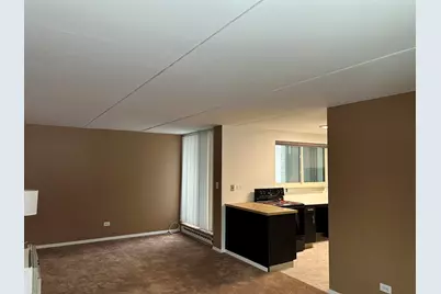 366 W Miner Street #2A, Arlington Heights, IL 60005 - Photo 4