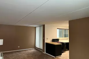 366 W Miner St, Arlington Heights, IL 60005 - Photo 4