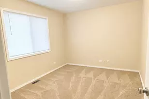 320 Thistle Dr, Bolingbrook, IL 60490 - Photo 14