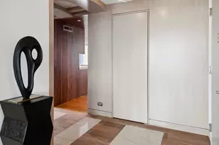 111 E Chestnut St, Chicago, IL 60611 - Photo 6