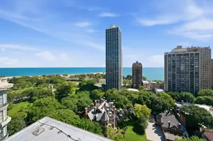 1540 N State Pkwy, Chicago, IL 60610 - Photo 22