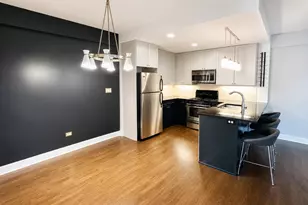 437 W North Ave, Chicago, IL 60610 - Photo 8