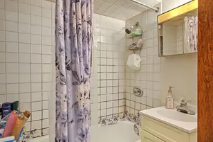 8534 S Muskegon Ave, Chicago, IL 60617 - Photo 28