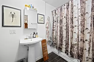 1527 W 18th Pl, Chicago, IL 60608 - Photo 12