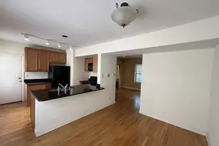 1017 E 46th St, Chicago, IL 60653 - Photo 2