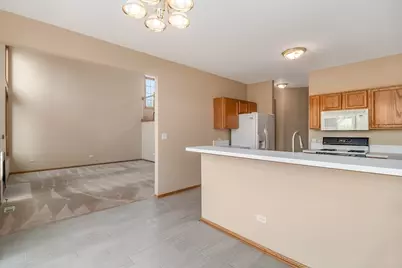 3241 Lightning Court, New Lenox, IL 60451 - Photo 10