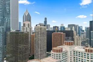 440 N McClurg Ct, Chicago, IL 60611 - Photo 28