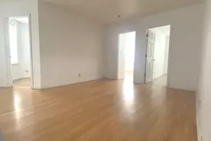 238 W 31st St, Chicago, IL 60616 - Photo 2
