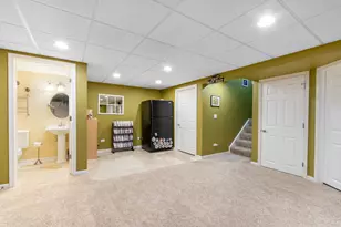 29W511 Cerny Cir, Warrenville, IL 60555 - Photo 20