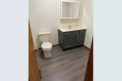 253 S Fulton Avenue, Bradley, IL 60915 - Photo 6