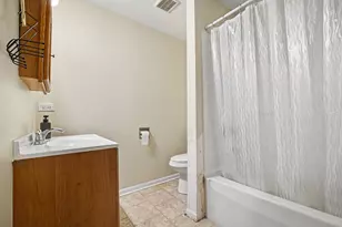 217 Michigan St, Elgin, IL 60120 - Photo 12