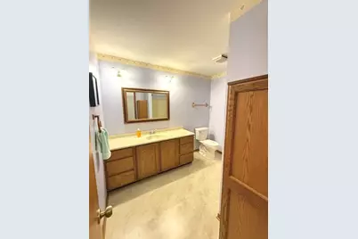 22340 S Carrie Avenue, Channahon, IL 60410 - Photo 10