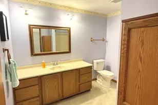 22340 S Carrie Ave, Channahon, IL 60410 - Photo 10
