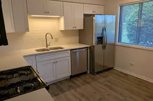 1231 Geneva Ln, Lake Zurich, IL 60047 - Photo 12