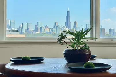 2306 W Chicago Avenue #4, Chicago, IL 60622 - Photo 6