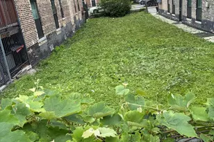 924 W 32nd Pl, Chicago, IL 60608 - Photo 2