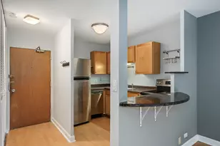 555 W Cornelia Ave, Chicago, IL 60657 - Photo 4