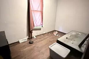 10453 S Ewing Ave, Chicago, IL 60617 - Photo 8