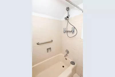 10031 S Paxton Avenue, Chicago, IL 60617 - Photo 22