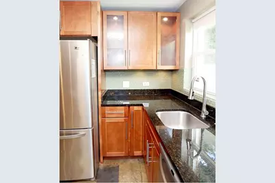 10031 S Paxton Avenue, Chicago, IL 60617 - Photo 16