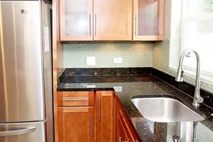 10031 S Paxton Ave, Chicago, IL 60617 - Photo 16