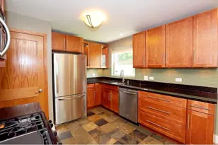 10031 S Paxton Ave, Chicago, IL 60617 - Photo 14