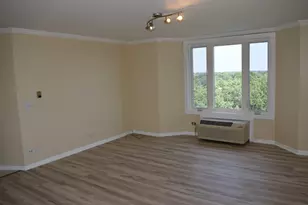 1 Renaissance Pl, Palatine, IL 60067 - Photo 12