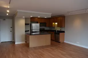 1360 N Sandburg Terrace, Chicago, IL 60610 - Photo 12