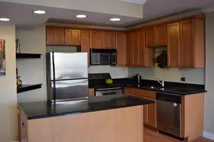 1360 N Sandburg Terrace, Chicago, IL 60610 - Photo 8