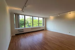 1360 N Sandburg Terrace, Chicago, IL 60610 - Photo 2