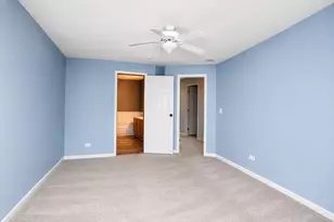 31802 McCormick Ln, Warrenville, IL 60555 - Photo 12