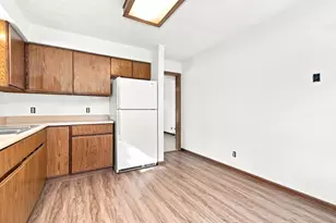 335-337 W 1st St, Braidwood, IL 60408 - Photo 8