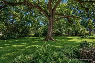 26 E 157th St, South Holland, IL 60473 - Photo 20