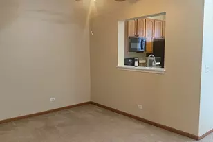 206 Terra Firma Ln, Volo, IL 60020 - Photo 6