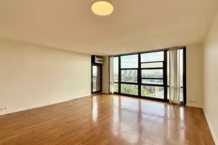 3001 S Michigan Ave, Chicago, IL 60616 - Photo 6