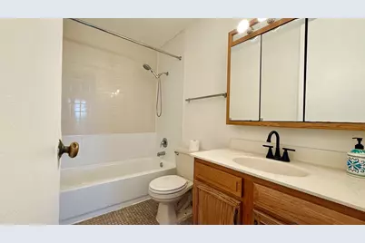 3001 S Michigan Avenue #1303, Chicago, IL 60616 - Photo 16