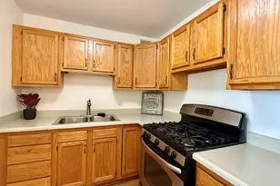 3001 S Michigan Ave, Chicago, IL 60616 - Photo 12