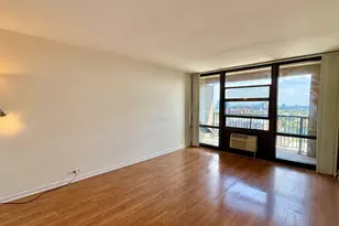 3001 S Michigan Ave, Chicago, IL 60616 - Photo 14