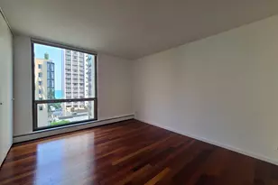 1310 N Ritchie Ct, Chicago, IL 60610 - Photo 16