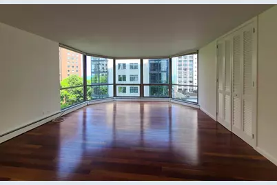 1310 N Ritchie Court #6D, Chicago, IL 60610 - Photo 2